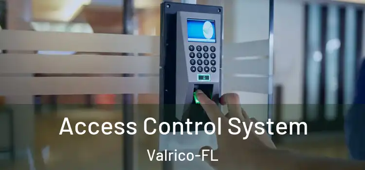  Access Control System Valrico-FL