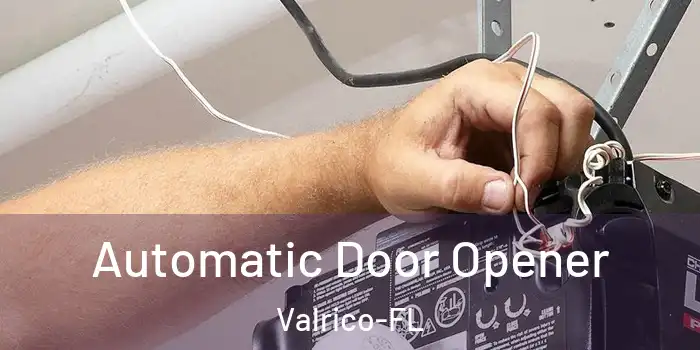  Automatic Door Opener Valrico-FL