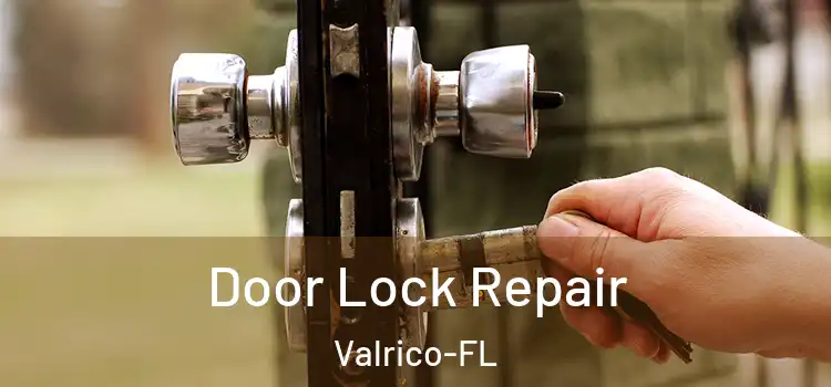 Door Lock Repair Valrico-FL