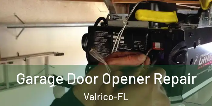  Garage Door Opener Repair Valrico-FL