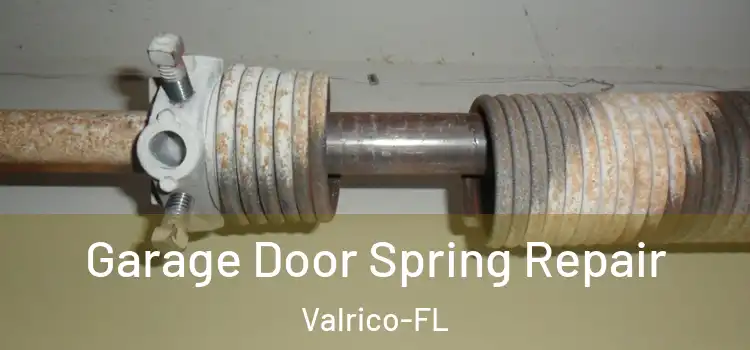  Garage Door Spring Repair Valrico-FL