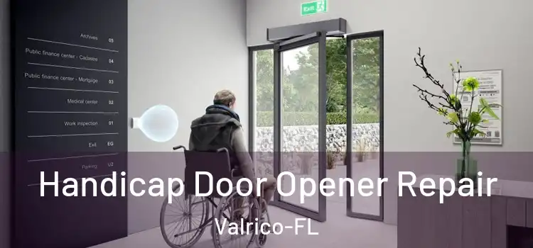  Handicap Door Opener Repair Valrico-FL