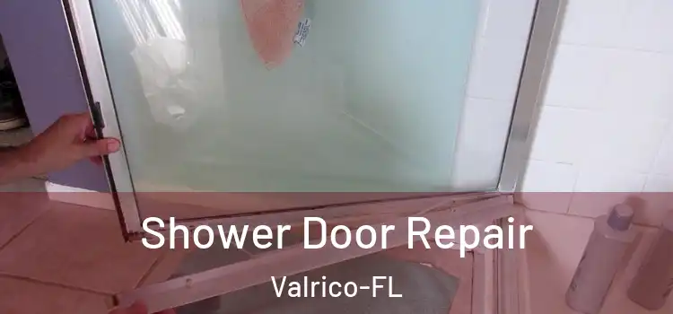 Shower Door Repair Valrico-FL