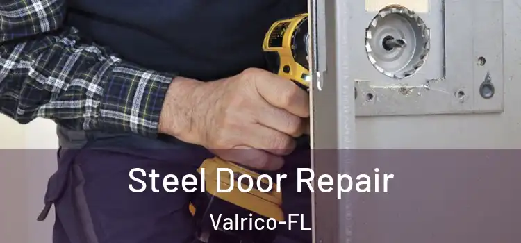  Steel Door Repair Valrico-FL